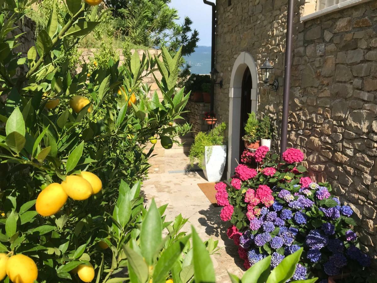 La Cascata Negli Ulivi Bed & Breakfast Toscolano Maderno Exterior photo