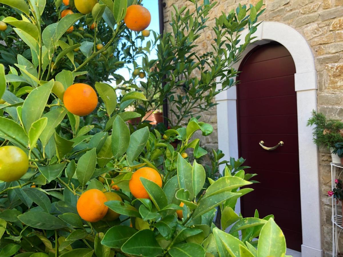 La Cascata Negli Ulivi Bed & Breakfast Toscolano Maderno Exterior photo